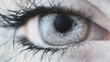 © almeera - Close-Up of a Human Eye with Detailed Iris
