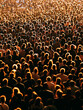 © Ytalo - crowd of people