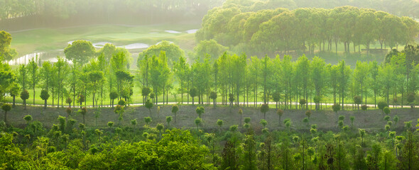 Wall Mural - Forest and mountains landscape at sunrise