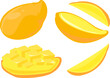 © ITrWorks - illustration of whole and sliced ​​yellow mango