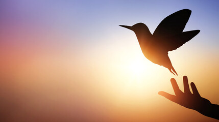 Wall Mural - silhouette hand of woman praying and free bird enjoying nature on sunrise and orange background with