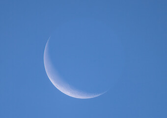 Wall Mural - the waning crescent moon glowing in the morning sky over ottawa, canada september 28, 2024