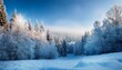 © Willem - winter background of snow and frost with landscape of forest