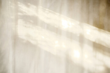 Canvas Print - png light background lighting abstract.