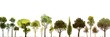 © evening_tao - Various Tree Silhouettes on White Panoramic Background