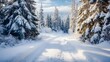 © KHF - A snow-covered forest in winter featuring tall evergreen trees and a path leading through the pristine, white landscape