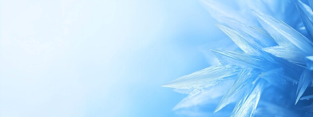 Naklejka na meble Abstract delicate frost patterns on an icy window, capturing the intricate and beautiful textures in shades of blue, New Year background, winter cold and holidays concept