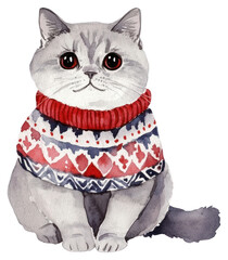 Wall Mural - PNG British Shorthair cat wearing Christmas sweater art illustration watercolor.