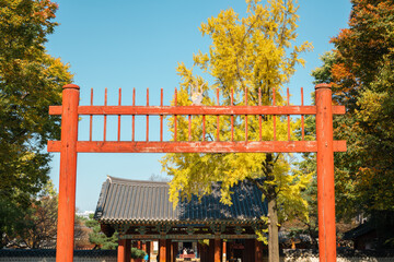 Wall Mural - Autumn of Jeonju Hanok Village Gyeonggijeon Shrine in Jeonju, Korea