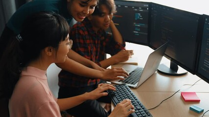 Back end software developer engineer for computer programming working together on debugging writing computing code, solving complex algorithms display on monitor in office. Burgeoning