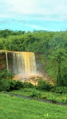 Wall Mural - Huge waterfall with green forest background