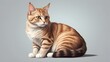 © Artex - View of adorable Cute domestic domestic cat