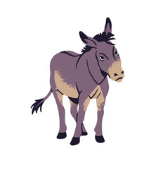 Wall Mural - Cute donkey grazes on pasture. Funny mule stands on barnyard. Hoofed farm animal, gray ass walks. Ranch livestock, homestead pet, farming fauna. Flat isolated vector illustration on white background