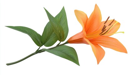 Wall Mural - Single Orange Flower Stem