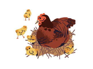 Wall Mural - Mother hen and her chickens sit on nest. Happy family of poultry is at country. Cute ranch birds, feathered farm animals, fowl, livestock. Flat isolated vector illustration on white background