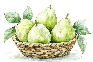 Wall Mural - Watercolor Illustration of Green Pears in a Wicker Basket with Leaves.