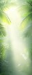 © Whitefeather - Tropical Paradise: Sunlight filters through lush palm leaves, creating a serene and inviting atmosphere. Perfect for travel, vacation, or relaxation themes.