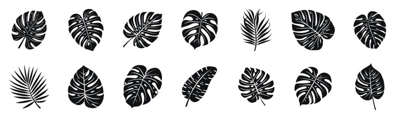Tropical leaves with different shapes and patterns, vector illustration set. Features monstera, palm, and other exotic leaves in a simple, stylized form.