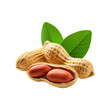 © Designsolution - Fresh peanut with slice on transparent background