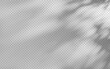 © TanyaFox - Abstract shadow overlay from foliage on a transparent background.