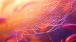 © Giovanni - Close up of a spectacular woven spider web glistening with morning dew showcasing intricate natural patterns