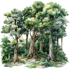 Wall Mural - A watercolor vector of a forest, isolated on a white background.