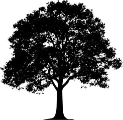Black Silhouette Elm Tree Icon Vector Illustration