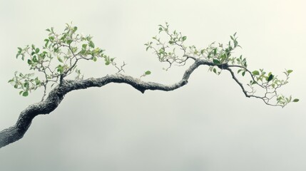 Bonsai Tree Branch Minimalist Art