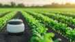 © Korngor - Precision farming with robots planting in symmetrical rows, food technology, 3D illustration