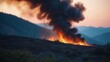 © realone952 - Fire starts in mountain forests in the evening