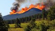 © realone952 - A large fire burns on a mountain top in the distance. Forest in the foreground