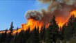 © realone952 - A large fire on the side of a forested mountain that is moving upwards