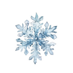 Wall Mural - A watercolor vector of a snowflake, isolated on a white background.