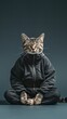 © COK House - A brown tabby cat wears a black hoodie with a square logo, sitting in a lotus pose with eyes closed. Tail sticks out,
