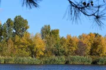 Sticker - Autumn landscape on the bank of the river in a sunny day