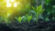 © somneuk - Nurturing growth how clients thrive with sustainable environmental practices in their gardens