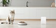 © Y_Malashkevych - A fluffy cat happily sits next to an empty dog bowl with an unmarked bag of cat food nearby in a sleek and bright modern kitchen filled with natural light