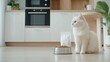 © Y_Malashkevych - In a modern kitchen a striking white fluffy cat sits beside an empty dog bowl and a plain mockup of cat food gazing thoughtfully at its surroundings in a clean stylish space