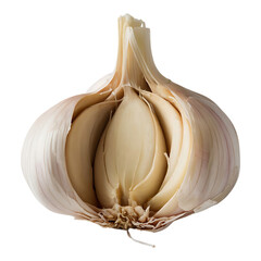 Whole garlic bulb with smooth, papery skin