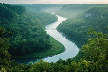 Wall Mural - Serpentine River Winding Through Lush Green Forested Valley