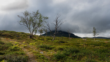 Arctic dramatic wilderness with of Kungsleden trail through green meadows, swamps and hill hidden in cloud evokes solitude, harsh and sad swedish nature in Lapland during autumn storm, Sweden.