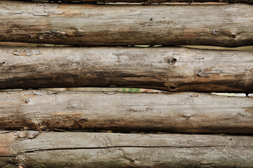 Wall Mural - Background, texture of forest felled logs of wood, house walls. Close-up photo, concept of construction in nature.