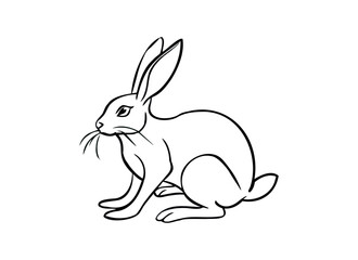 Canvas Print - Rabbit Line Drawing for Wildlife and Nature Illustrations