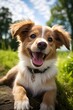 © client - A happy dog with large ears and expressive eyes looks directly at the camera, radiating friendliness. Its fluffy fur and bright smile make the portrait especially appealing.