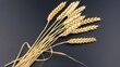 © liu - Wheat Ears on a Black Background - a natural and elegant visual. The golden wheat ears stand out against the dark backdrop, creating a beautiful and rustic display