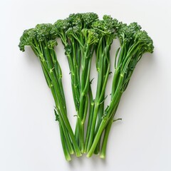 Wall Mural - A bunch of fresh broccoli stems on a light background.