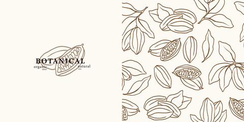 Line art cacao background. Hand drawn cocoa beans logo