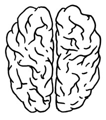 black and white hand drawn vector of a human brain on a white background isolated.