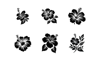 Hibiscus flower black white silhouette