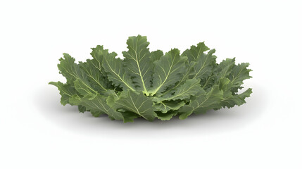 Wall Mural - Freshly picked, vibrant green kale leaves with a natural shadow on a white background.